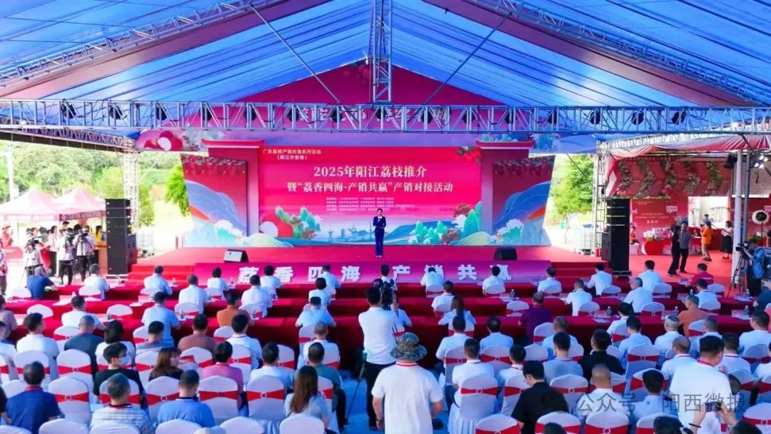小荔枝大產(chǎn)業(yè)！2025年陽江荔枝推介暨“荔香四海?產(chǎn)銷共贏”產(chǎn)銷對接活動在陽西縣成功舉辦