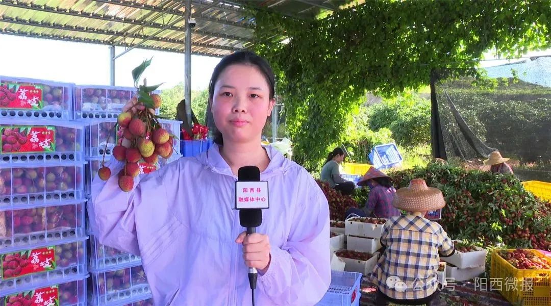 文章配圖